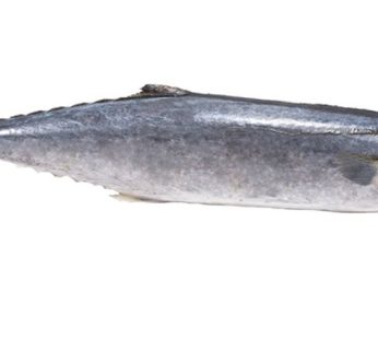 Ikan Tenggiri / 400 – 500gr