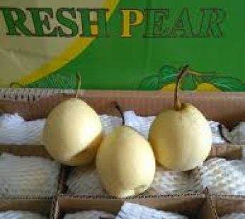Pear Import 16-17kg