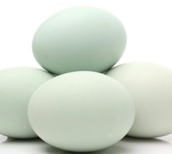 Telur Bebek Mentah / 5 butir
