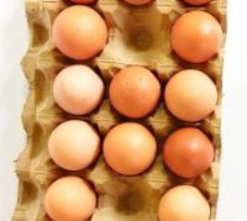 Telur Ayam Negeri isi 15-18 butir/kg