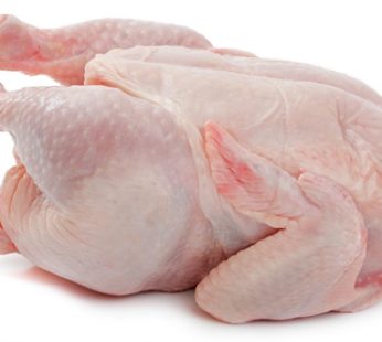 Ayam Broiler / ekor 0,9kg – 1,05kg