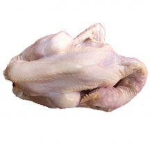 Ayam Pejantan / ekor 700gr – 850gr