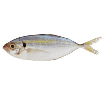 Ikan Selar / 400 – 500gr